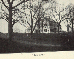 Hive at Brook Farm