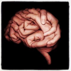 hands-form-brain