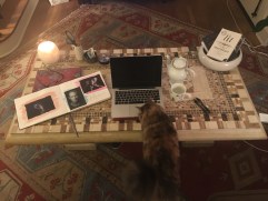 46358958_254405065228485_5039572865435828224_n